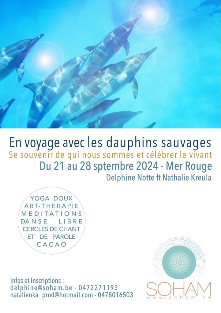 delphine notte voyage dauphins septembre 2024 siriusandyou yoga developpement personnel