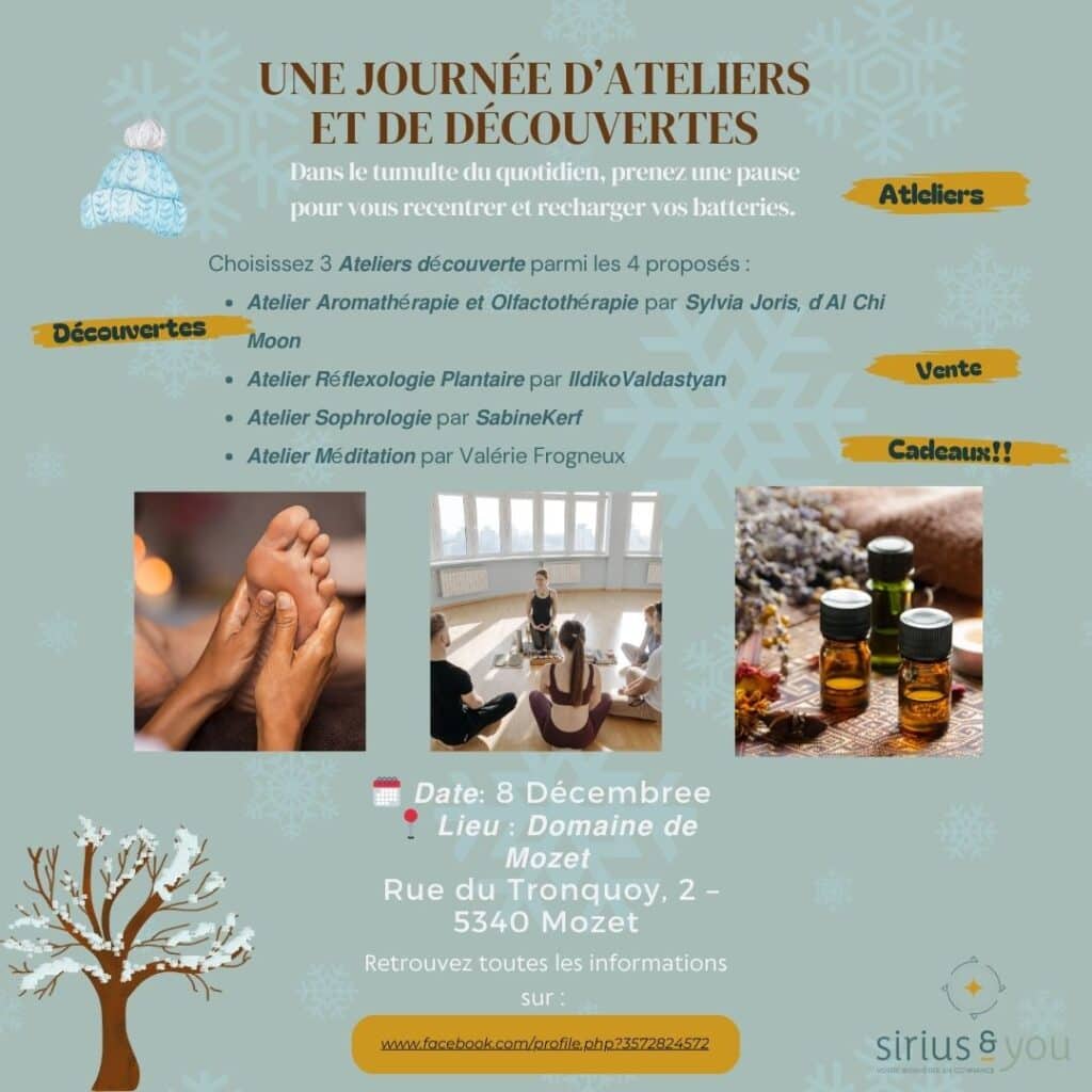 journée d'ateliers 8 decembre 24 sophrologie meditation peirres shiatsu siriusandyou