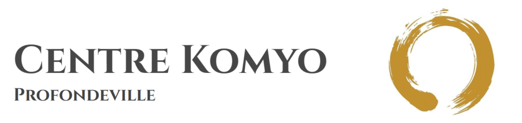 centre komyo logo soins energetiques formation siriusandyou therapeute